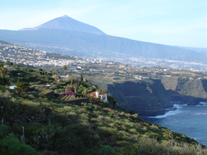 Teneriffa Nordkste 